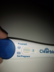 Clear blue test. Evap line or positive