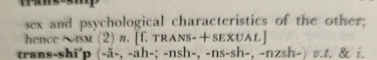 Reflecting on the recent changes in language