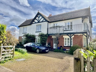 To think white front doors are common?