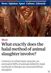 To not offer two types of beef burger at summer fair (halal and non halal)?