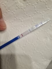 Positive test? Or are my eyes playing tricks!?