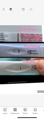 4 weeks line progression