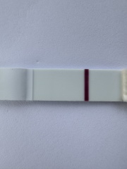 Shadows/ Faint Lines on multiple pregnancy tests