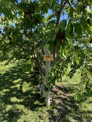 Come and tell me your dull and unexciting news 30: Calmly through the day