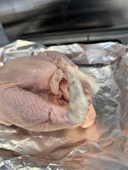 Has this chicken gone bad?
