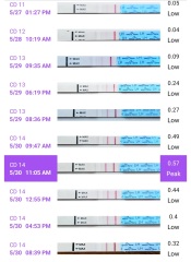 Rock bottom LH and a low surge - anyone else??