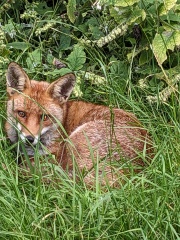 Come and tell me your dull and unexciting news 30: Calmly through the day