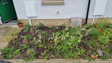 What should I do with my front garden?