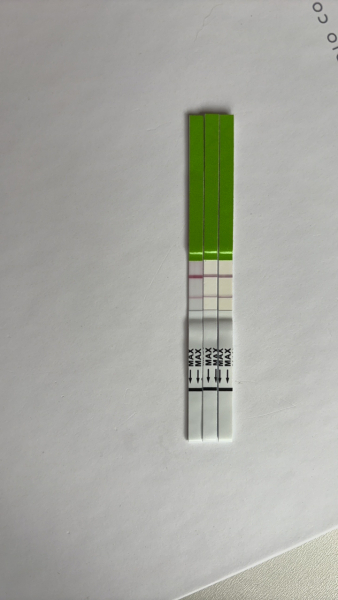 TTC July 2024 ✨♥️