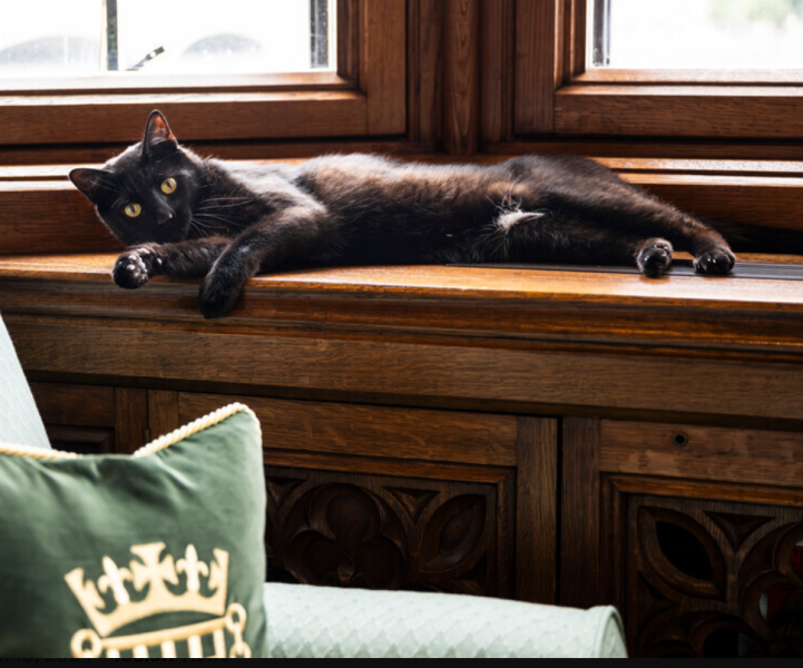 Thread 2. Starmer, return of the Labour government