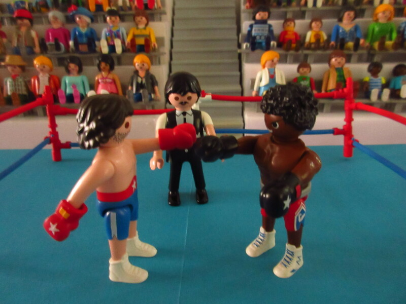 It's time for the Olympic Games for the Playmobil people in our house...