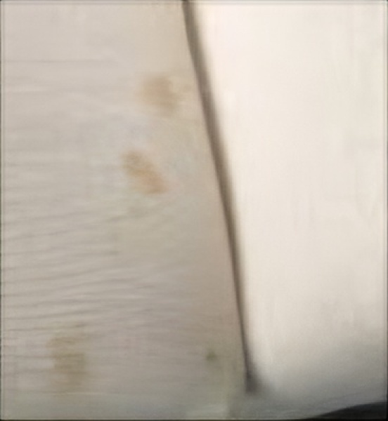 Invited to a sparrow's lunch