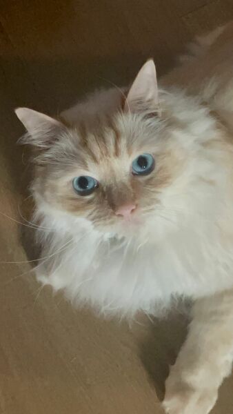 Autistic women assemble! #4