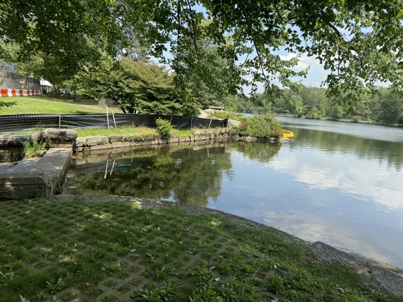 Come and tell me your dull and unexciting news 30: Calmly through the day