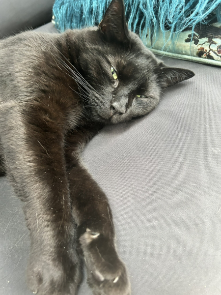 Thread 53 Sunak: Superminority!