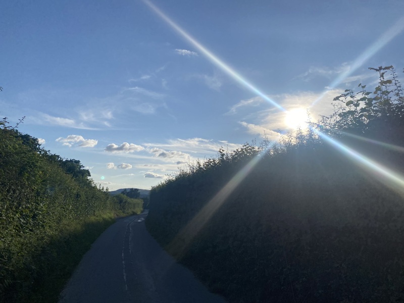 Come and tell me your dull and unexciting news 30: Calmly through the day