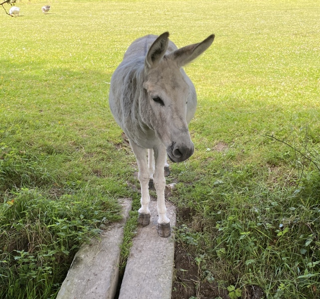 Thread 14 - TalkLair: “What The Hell Are We Supposed To Use, Man? Harsh Language?”