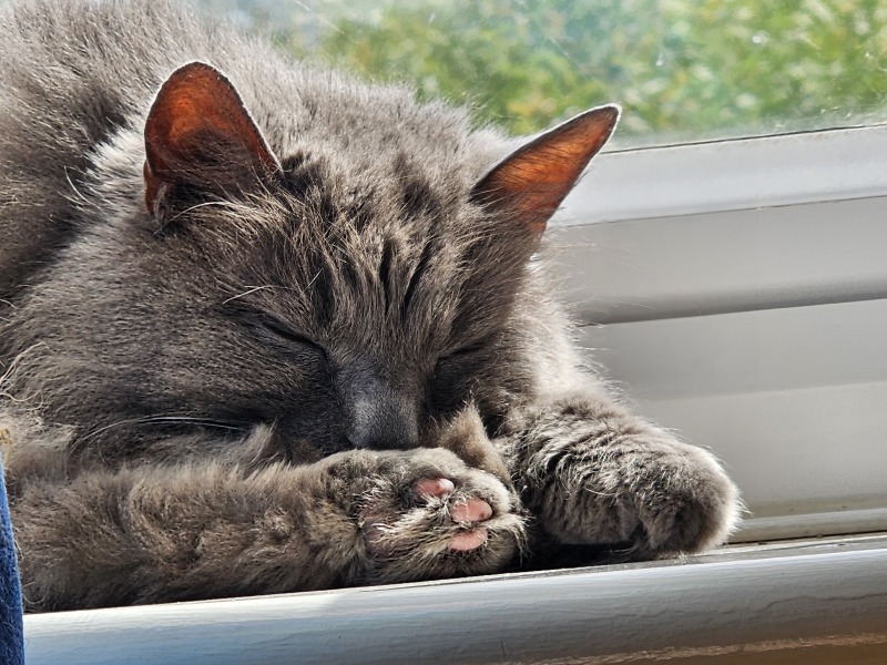 Thread 2. Starmer, return of the Labour government