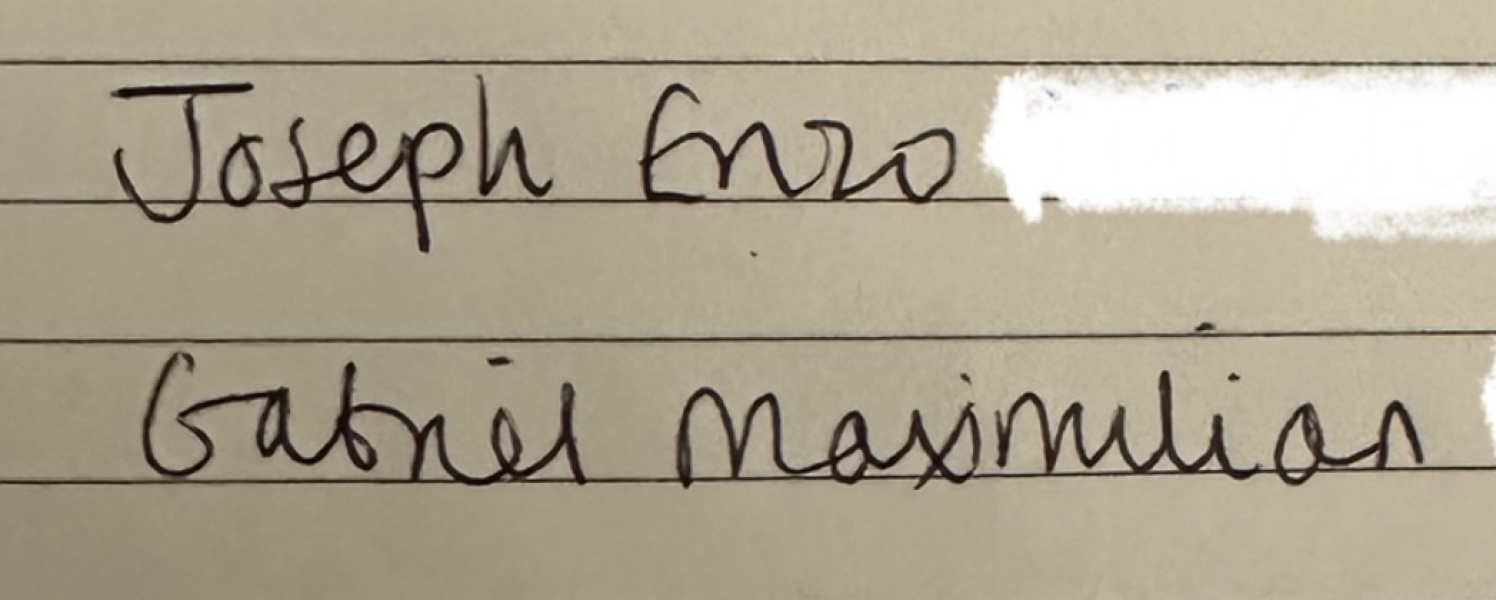 Please help with a sibling (boy) name for Raphael & Sophia