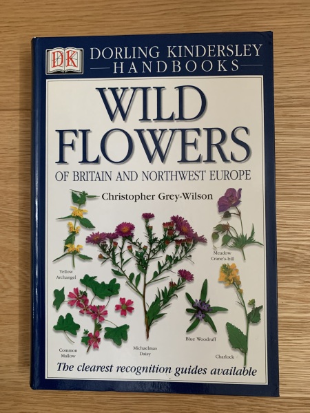 New to the world of plants...can anyone identify these for me?