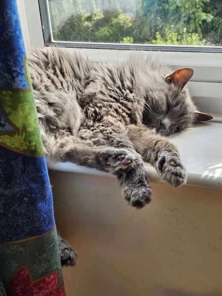 The One where TC moved to Scotland and joined the Excellent Cats