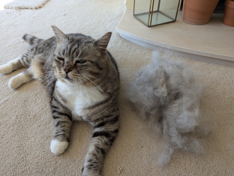 Anyone use a de shedding brush thing?