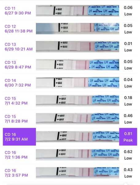Second cycle after CP- CD16: Failed to ovulate and spotting? Help! (sensitive images!)