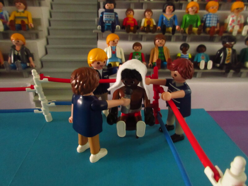 It's time for the Olympic Games for the Playmobil people in our house...