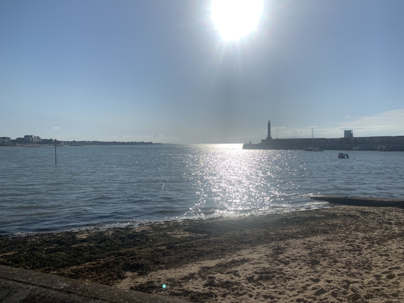 The Great Cancer Recovery part 3