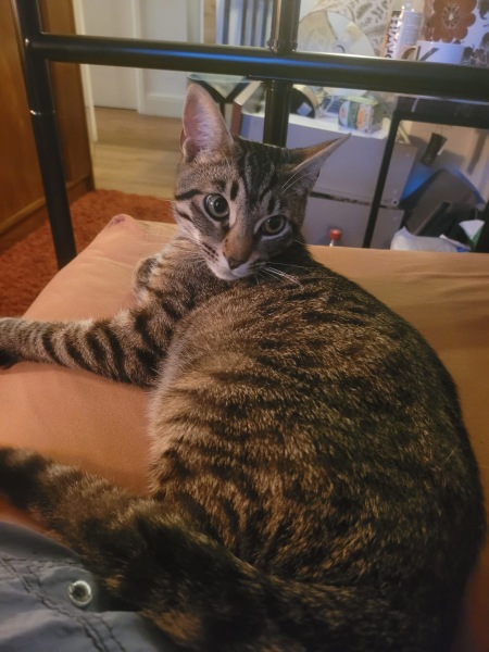 Thread 1 Starmer: A New Hope