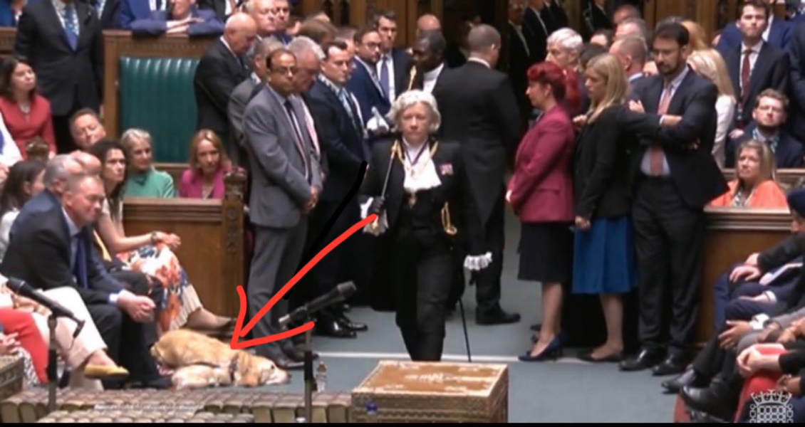 Thread 1 Starmer: A New Hope