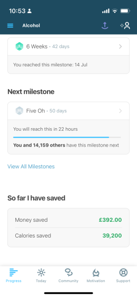 If you or your partner were a high functioning alcoholic