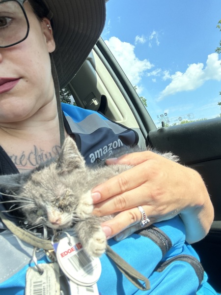 Day 1 or 1000 all welcome on the tulips and snowdrops thread 🌷