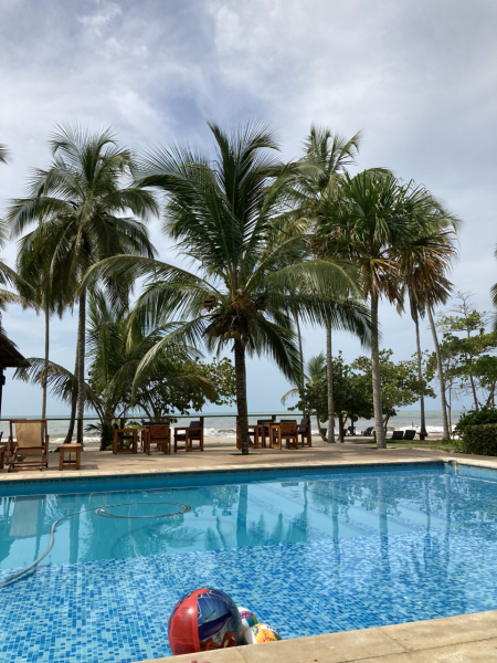 A non-Europe 2-3 weeks once-in-a-lifetime-ish trip with teens1