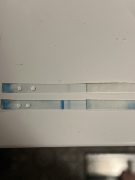 Girls that understand opening digital tests!? Help.