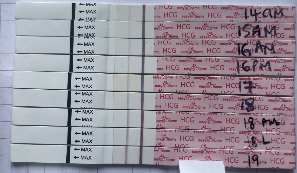 Immune/NK cells pred thread #32