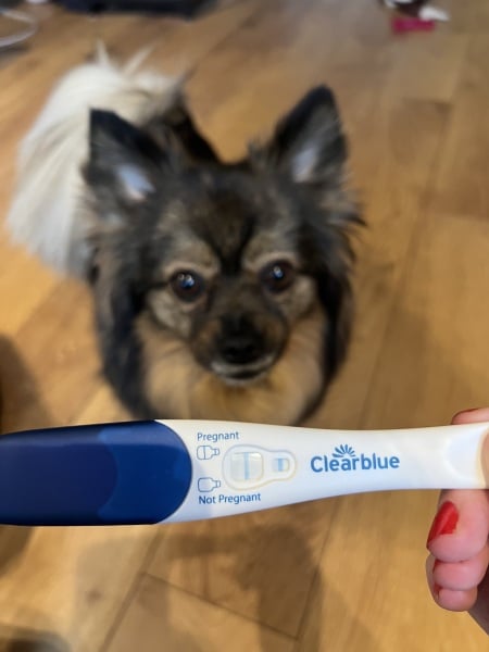 I’m 1dpo today, does anyone want to join the TWW?