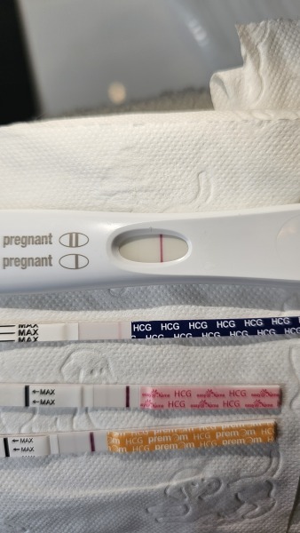 Ovulation day/1DPO buddies?