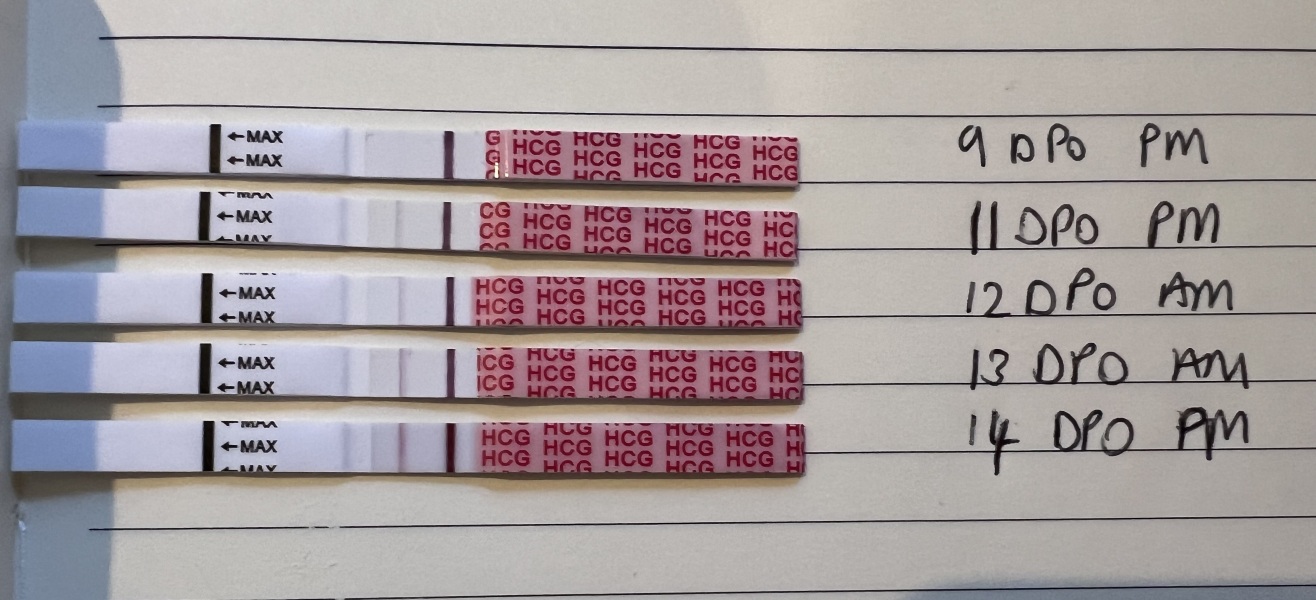 Is this a vvvfl or false positive?