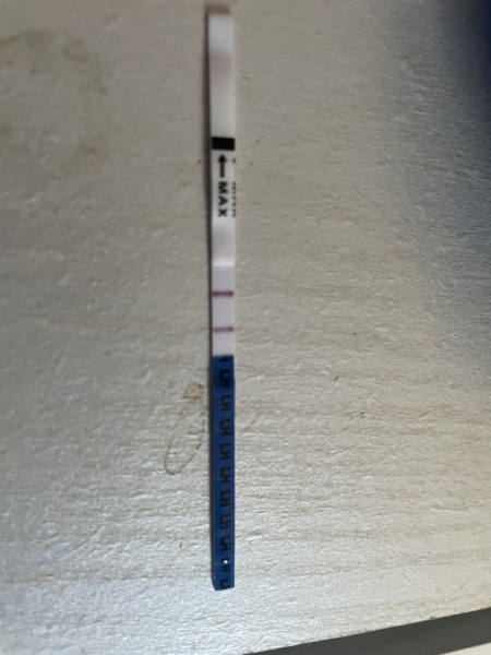 Is this a positive ovulation result