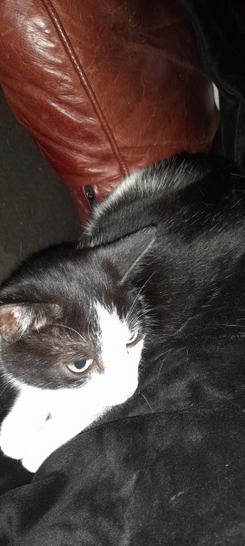 Do you have  . . . .   In your house ? Part two .