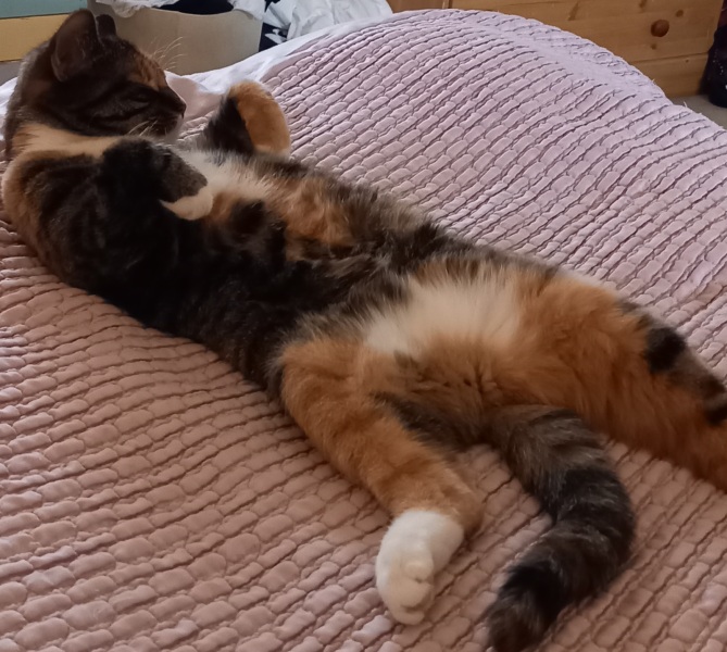 Thread 2. Starmer, return of the Labour government