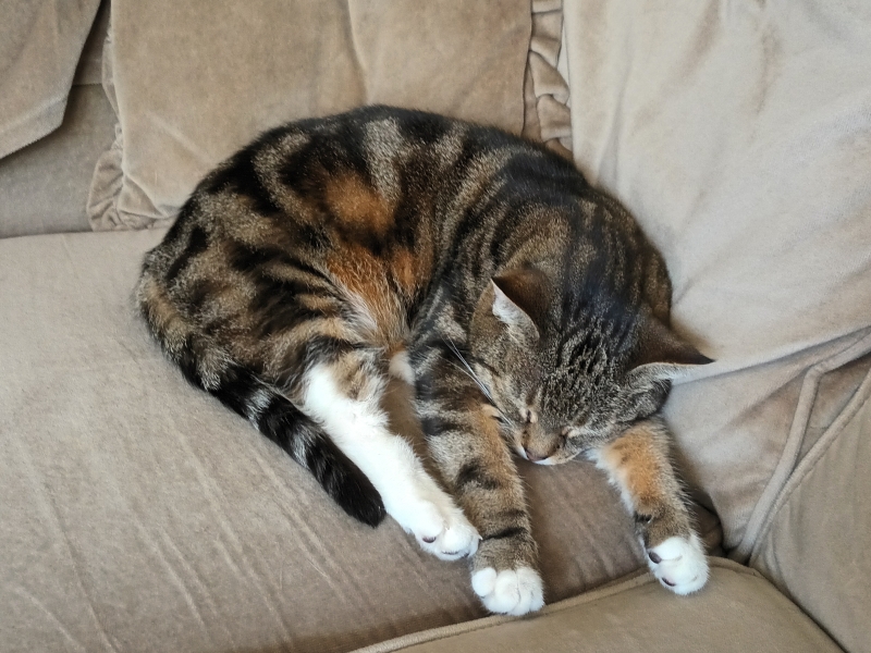 Thread 3 Starmer:  Digging has started, bigger shovel required