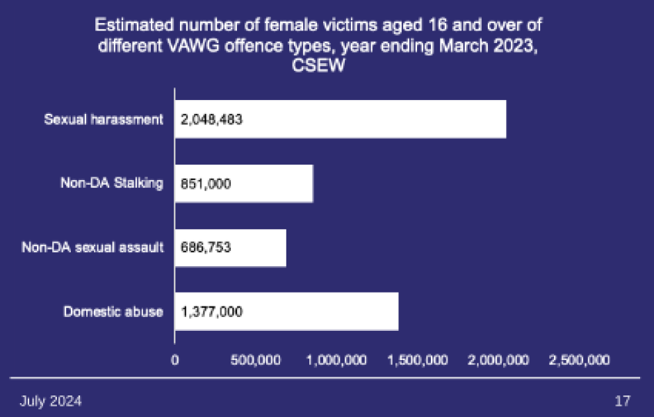 "Violence against women a ‘national emergency’ in England and Wales"