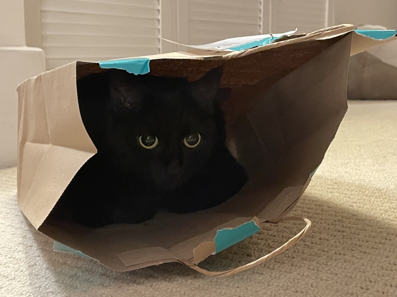 Thread 2. Starmer, return of the Labour government