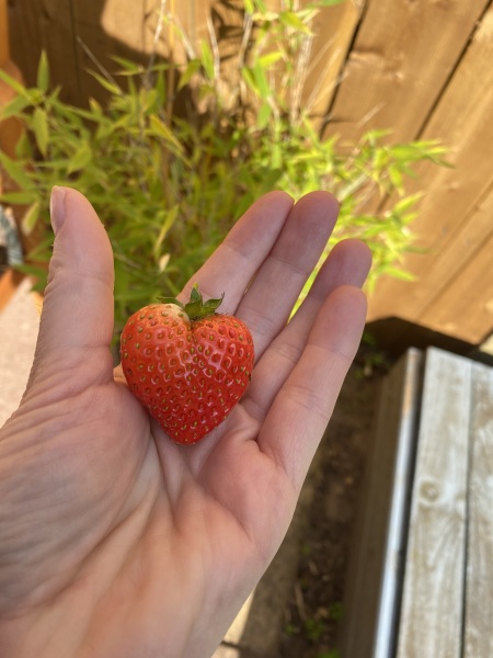 Do you have  . . . .   In your house ? Part two .