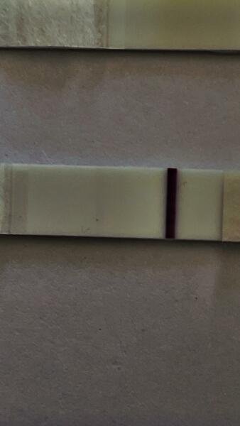 Pregnancy test