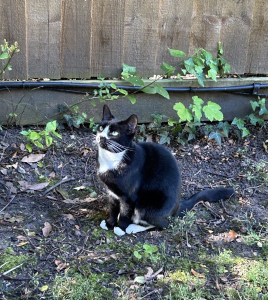 Thread 1 Starmer: A New Hope