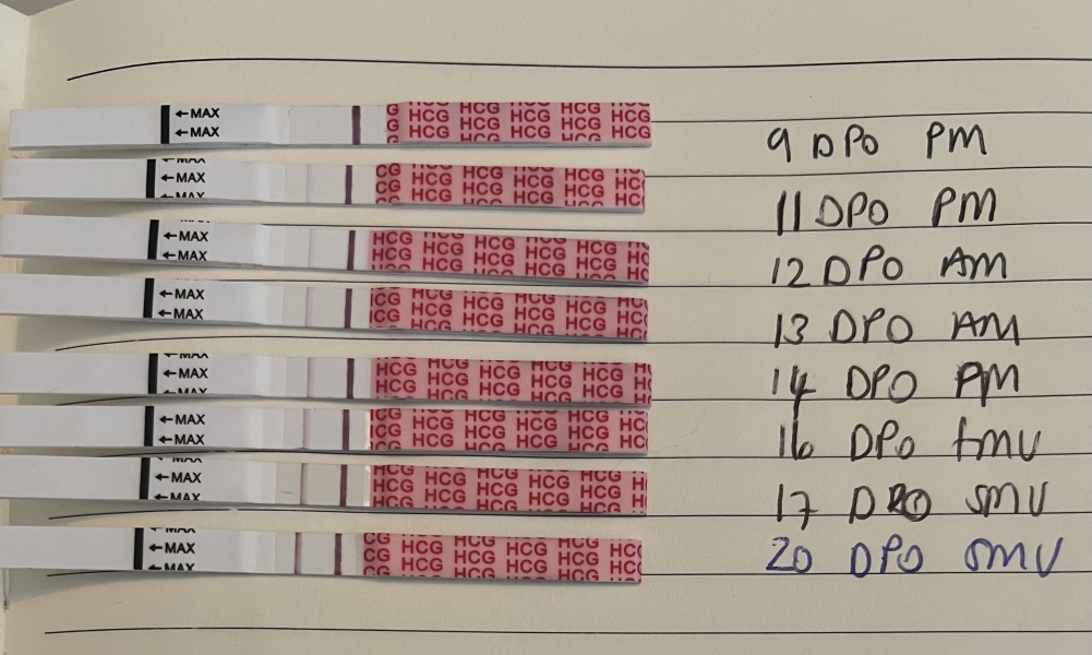 Is this a vvvfl or false positive?