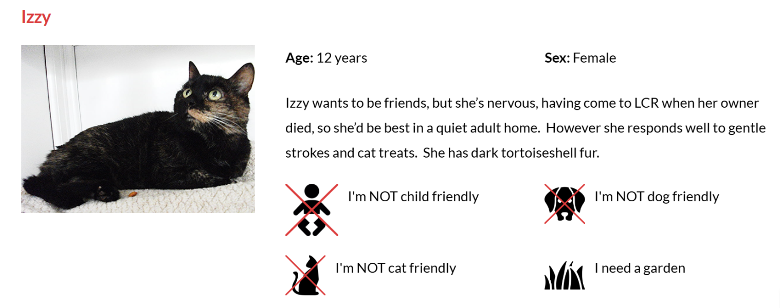 Oh help me, I looked at the "cats needing homes" page!